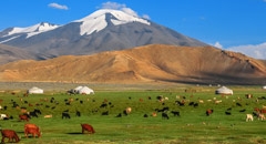 Wizy do Chin i Mongolii, czyli wszystko o wizach do Azji